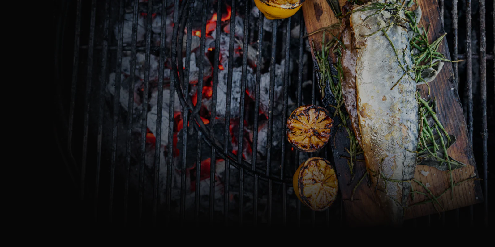 Ignite Your Culinary Revolution
